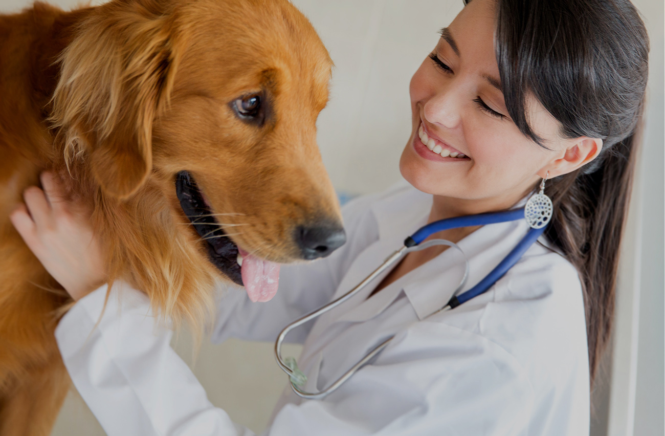 Featured image for “Buyers seeking Veterinary Practices In Florida”