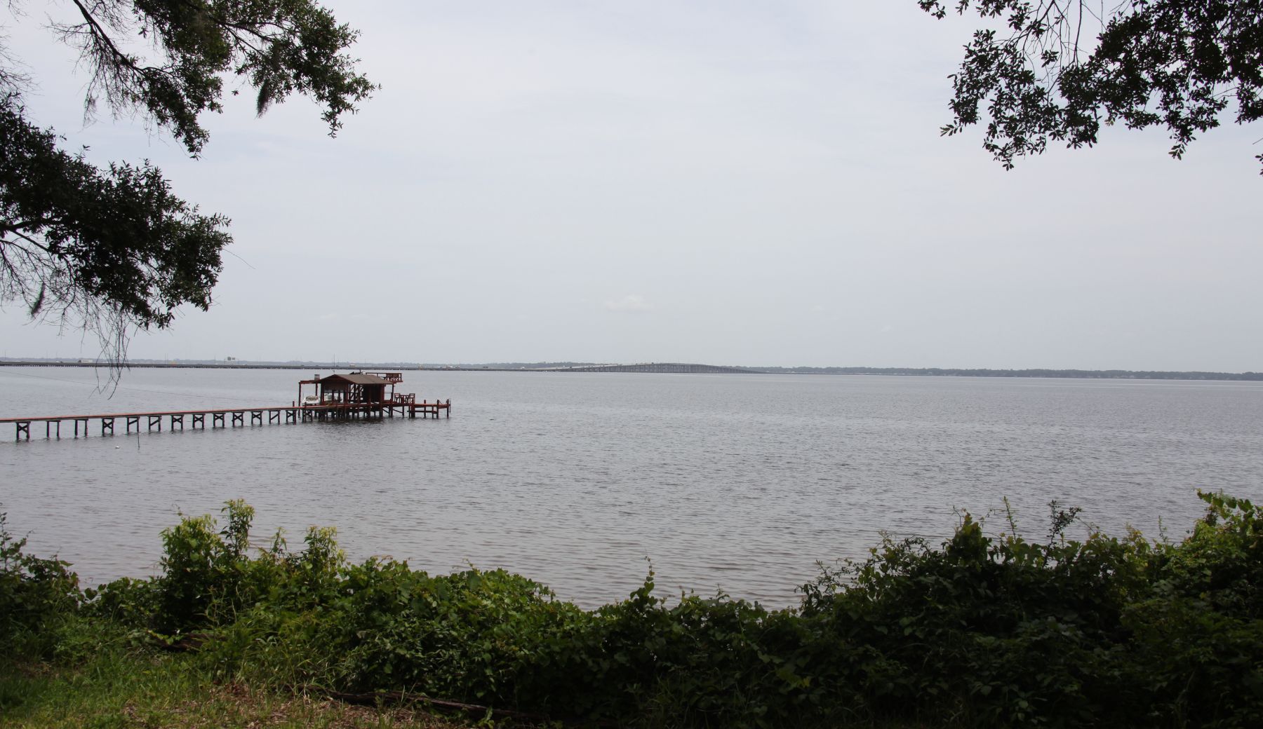 St. Johns River, Orange Park Florida